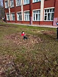 Субботник